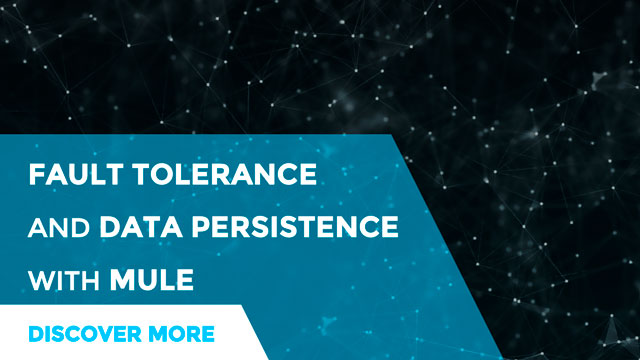 Fault tolerance, data reliability and Mule